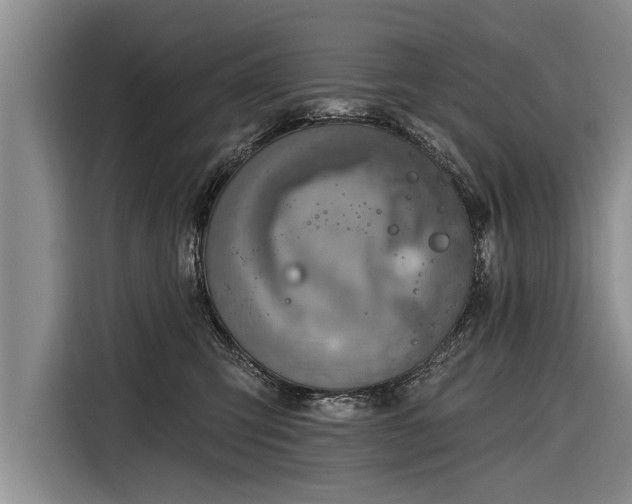 X0000116300423200912071252