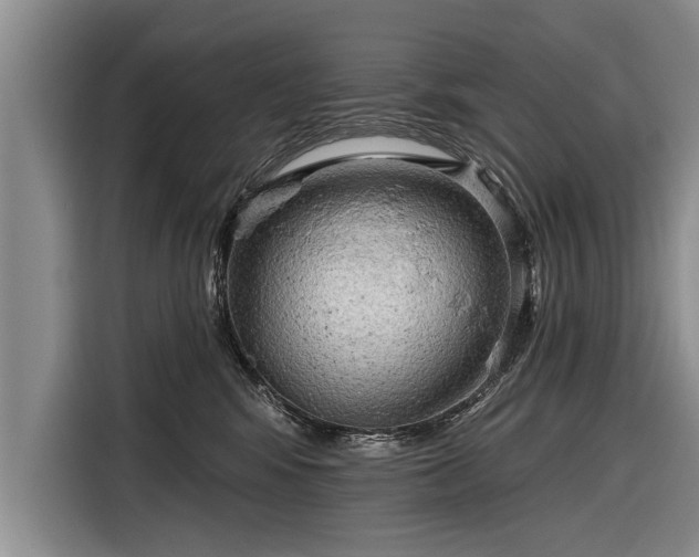 X0000116300424200912071252