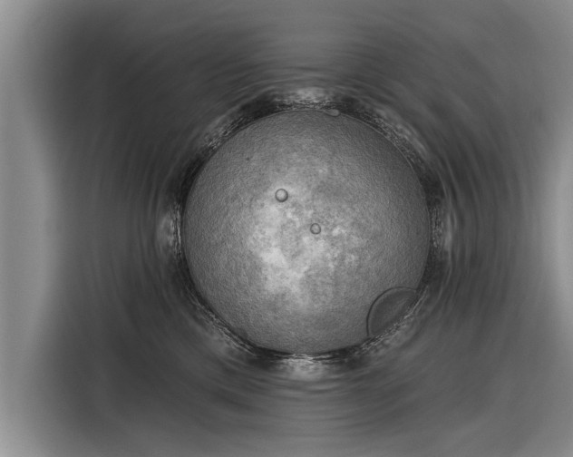 X0000116300425200912071252