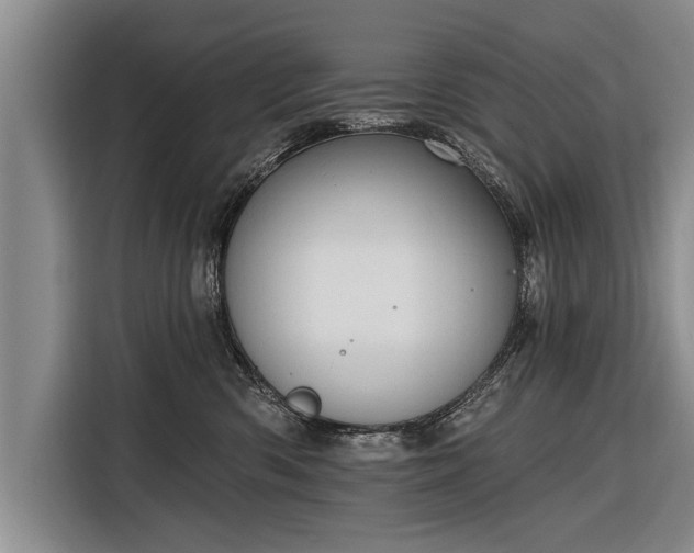 X0000116300426200912071252