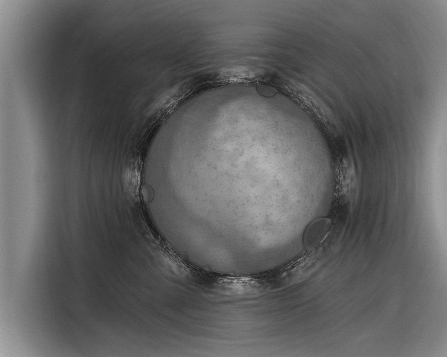 X0000116300427200912071252