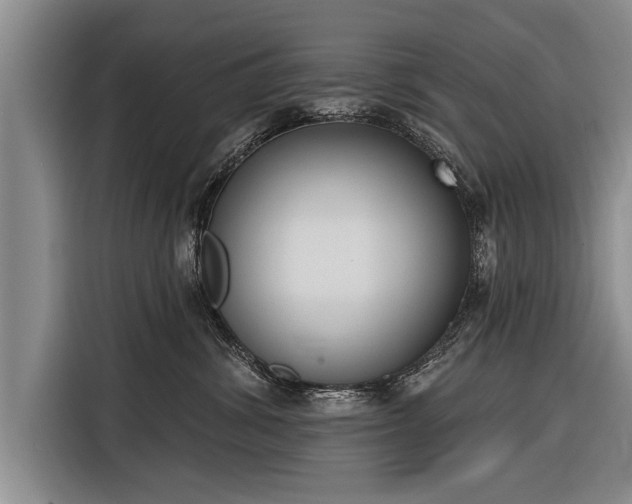 X0000116300428200912071252