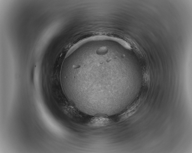 X0000116300429200912071252