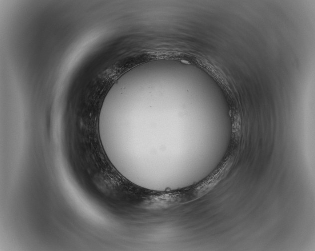 X0000116300430200912071252