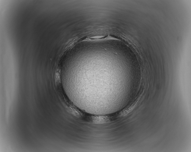 X0000116300432200912071252