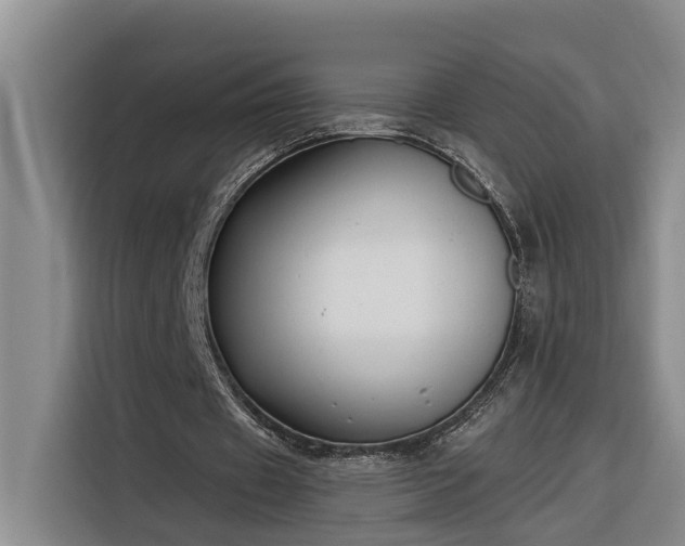 X0000116300433200912071251