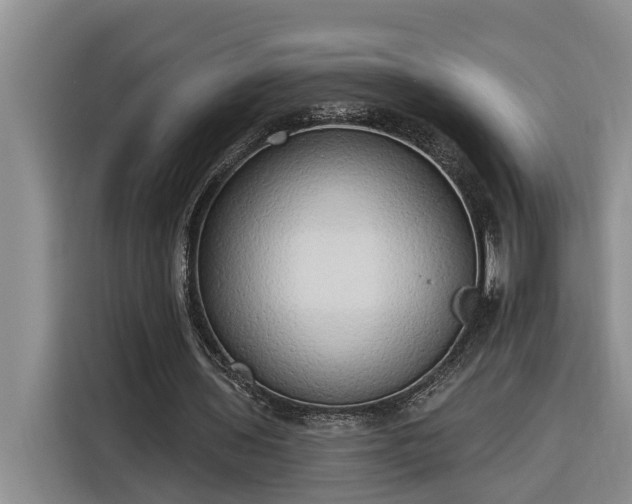 X0000116300435200912071251