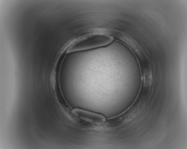 X0000116300436200912071251