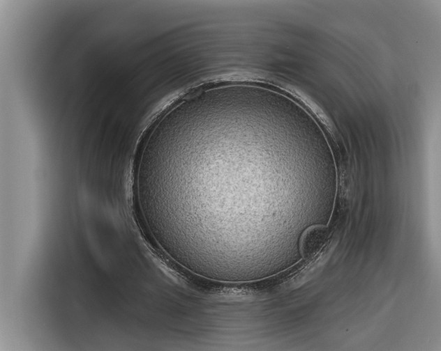 X0000116300437200912071251