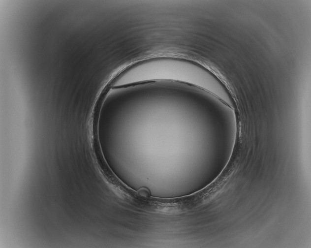 X0000116300438200912071251