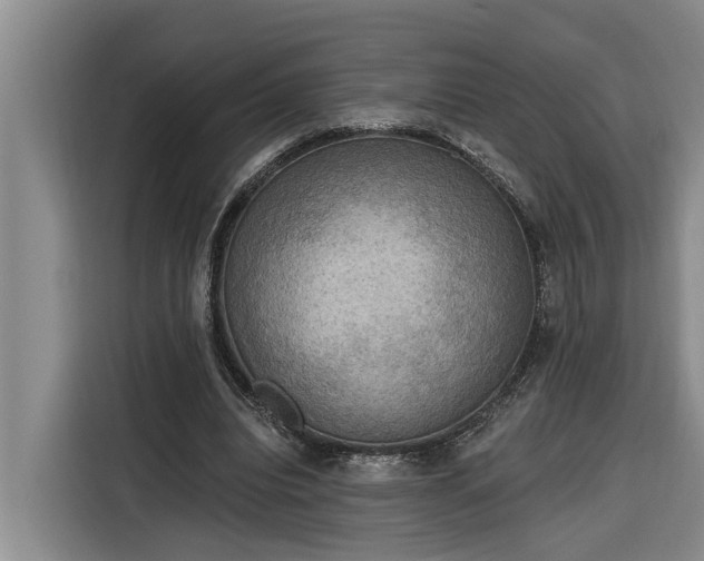 X0000116300440200912071251