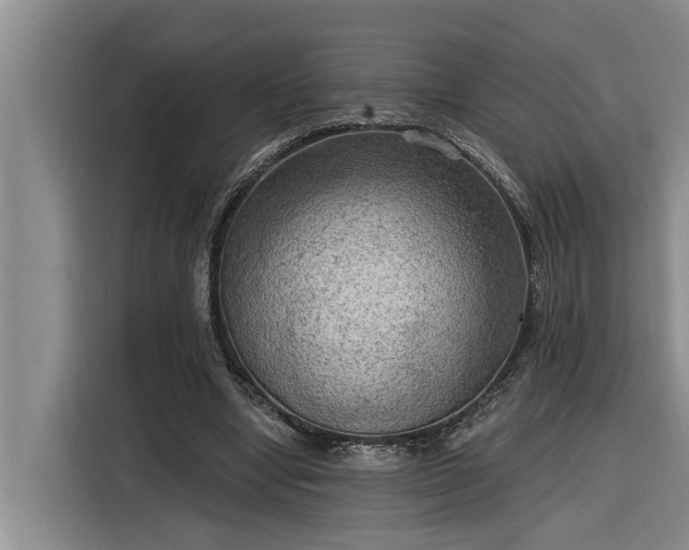 X0000116300442200912071252