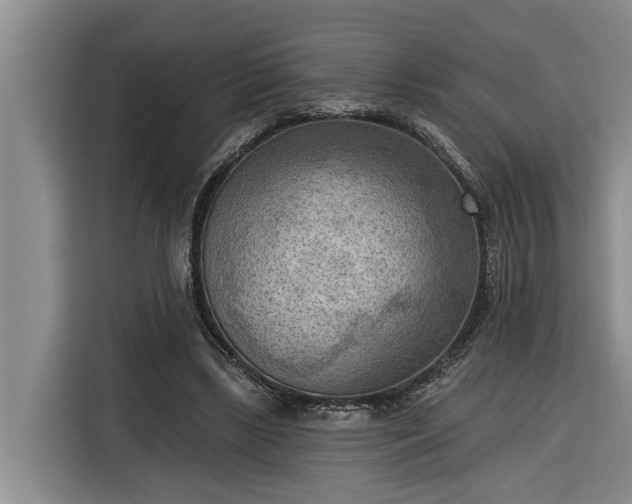 X0000116300443200912071252