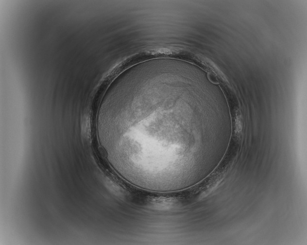 X0000116300444200912071252