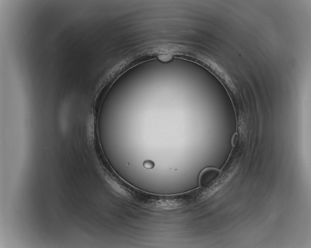 X0000116300445200912071252