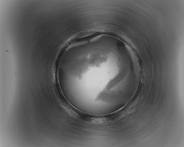 X0000116300446200912071252