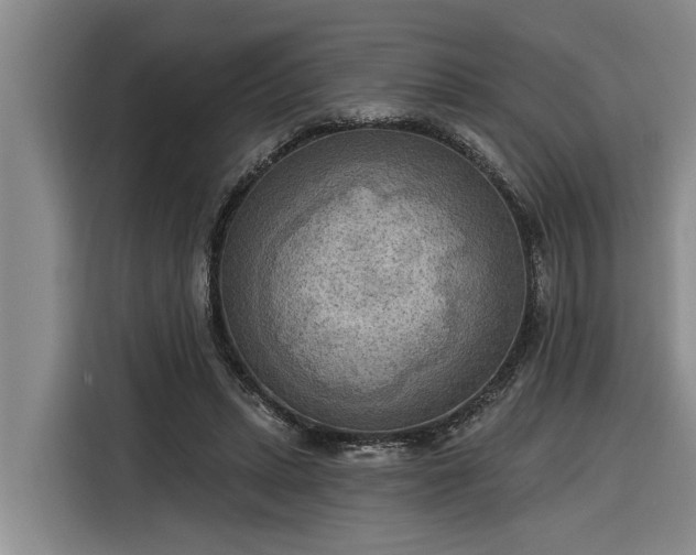 X0000116300447200912071252