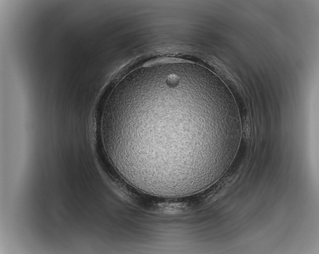 X0000116300448200912071252