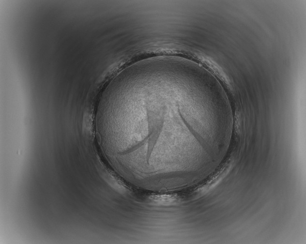 X0000116300449200912071252