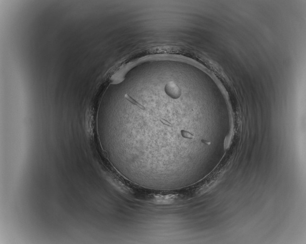 X0000116300450200912071252