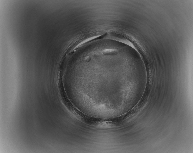 X0000116300451200912071252