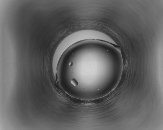 X0000116300452200912071252