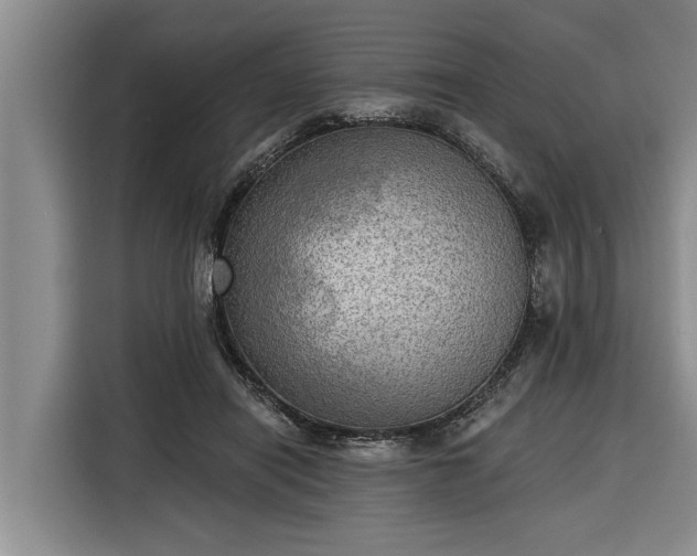 X0000116300454200912071252