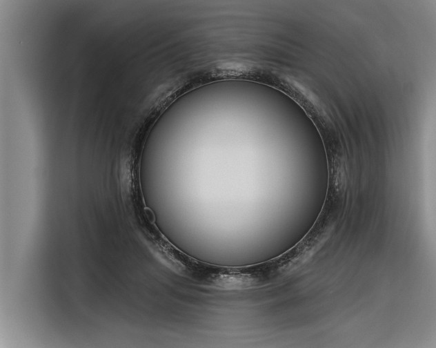 X0000116300455200912071252