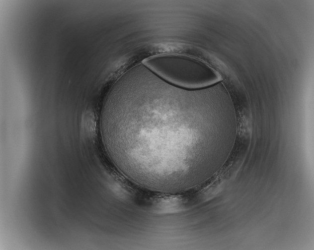 X0000116300456200912071252