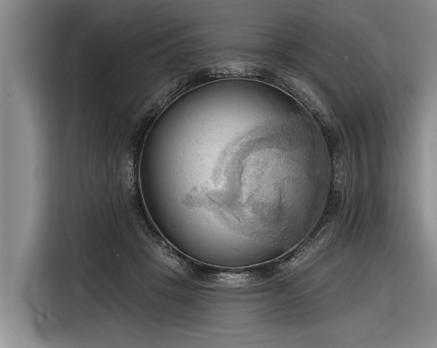 X0000116300457200912071252