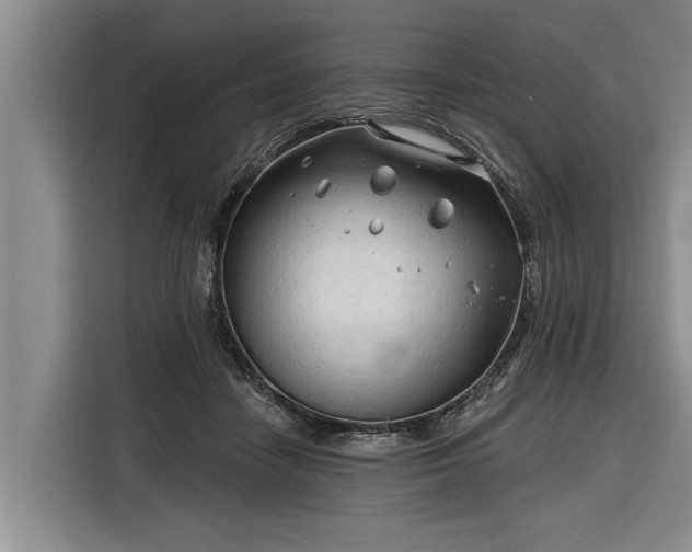 X0000116300458200912071252