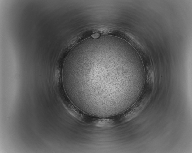 X0000116300459200912071252