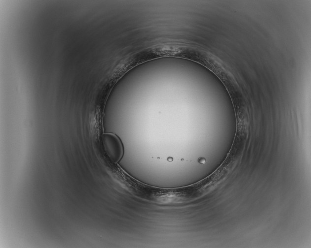 X0000116300460200912071252