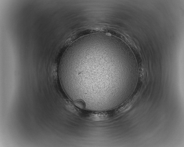 X0000116300466200912071252