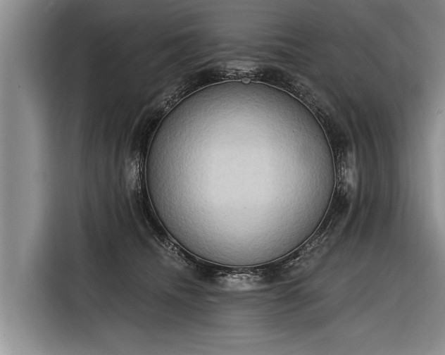 X0000116300468200912071252