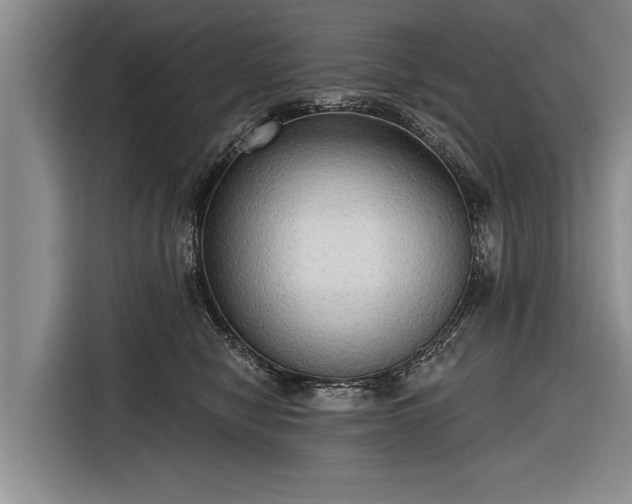 X0000116300470200912071252