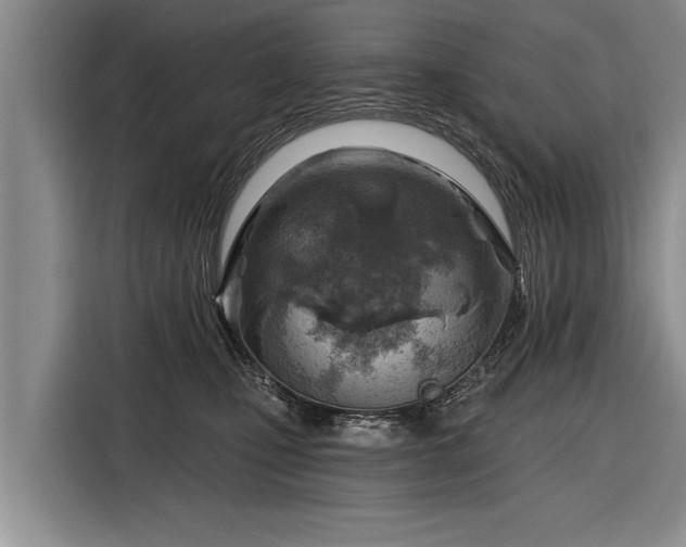 X0000116300471200912071252