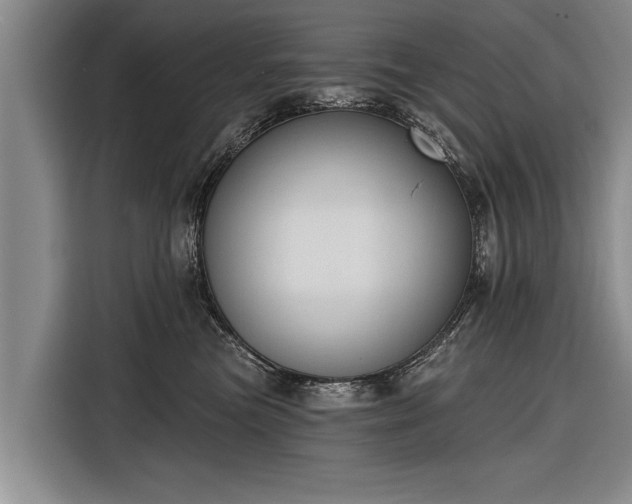 X0000116300473200912071252