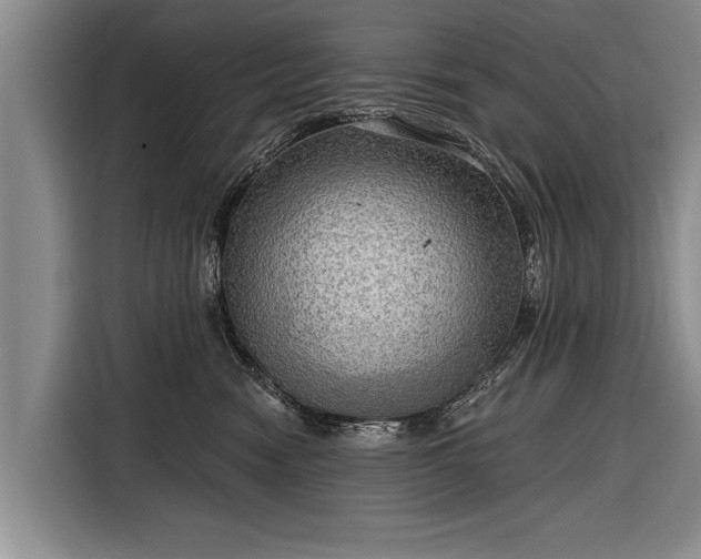 X0000116300474200912071252