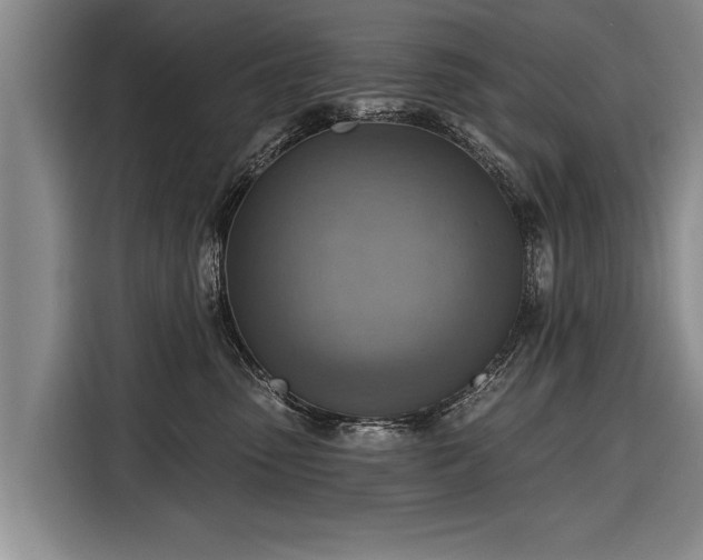 X0000116300475200912071252