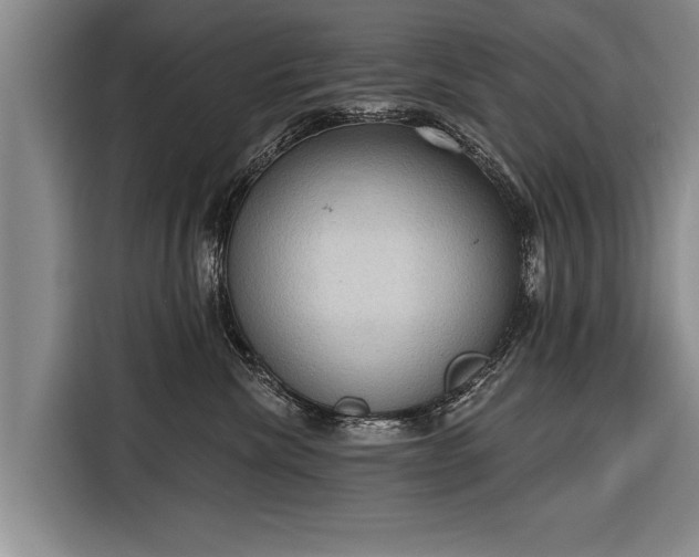 X0000116300476200912071252