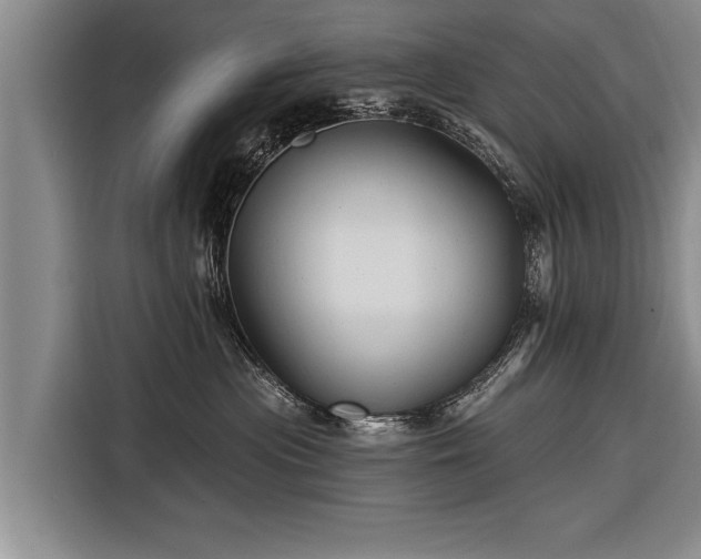 X0000116300477200912071252