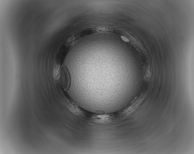 X0000116300478200912071252