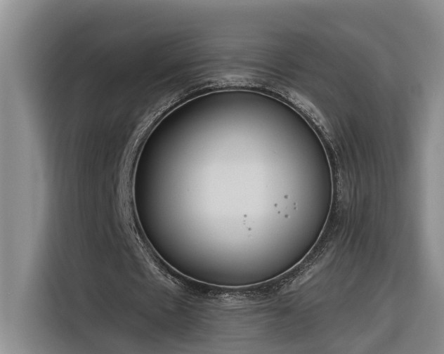 X0000116300481200912071251