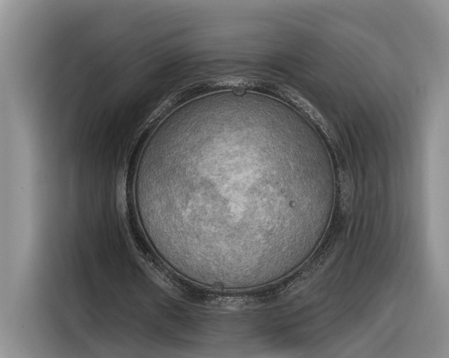 X0000116300482200912071251