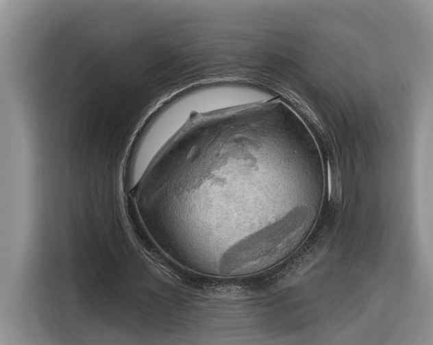 X0000116300483200912071251