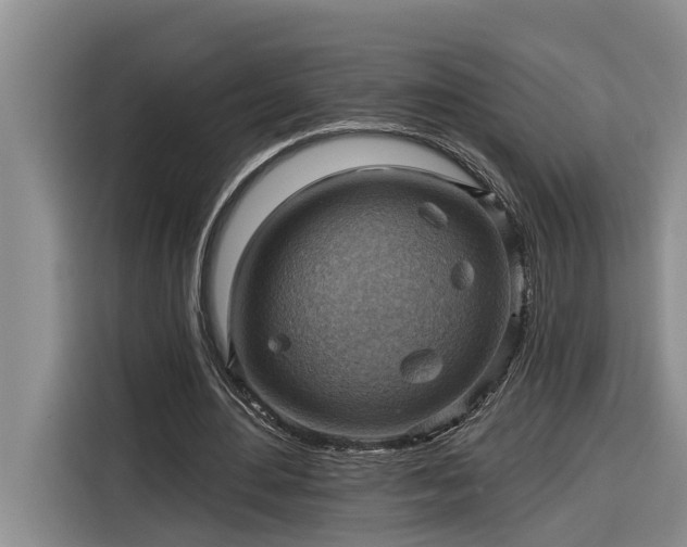 X0000116300484200912071251