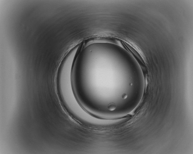 X0000116300485200912071251