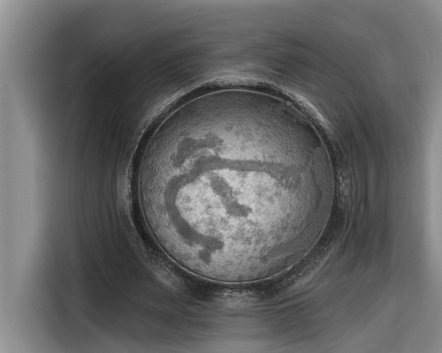 X0000116300487200912071251