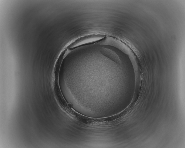 X0000116300488200912071251